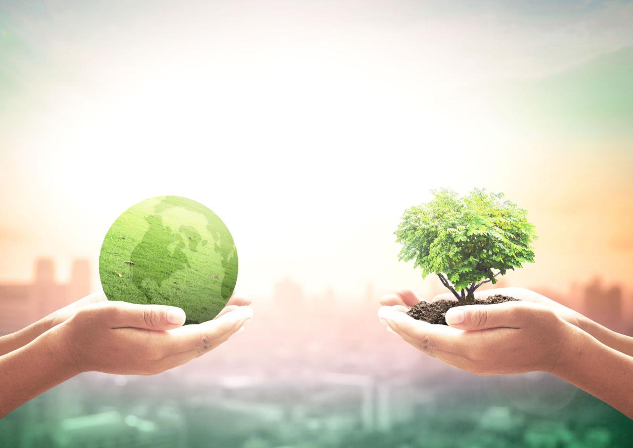 Green Shoots: Sustainable Investing Blooms in Global Markets