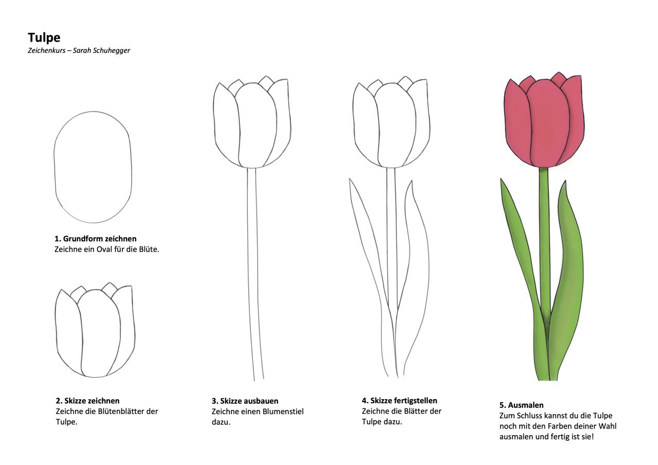 Die Magie des Zeichnens: Tulpen zum Ausmalen und die Freude am Entdecken