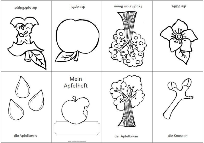 Die Magie des Apfel-Ausmalbildes: Ein Zeichenlehrer erzählt