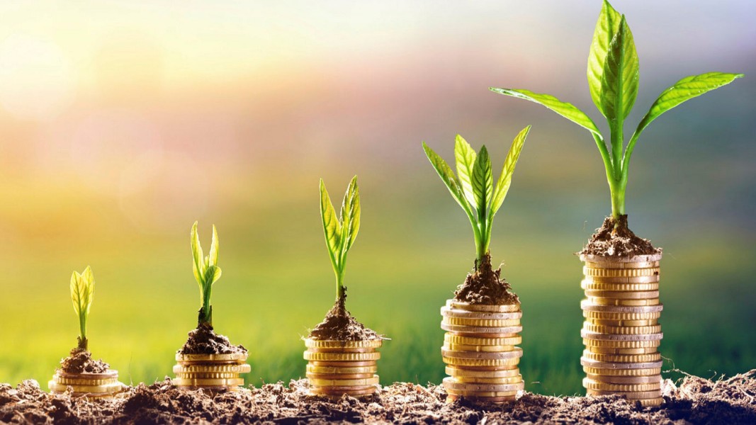 Investing in a Greener Future: A Guide to Sustainable Investing