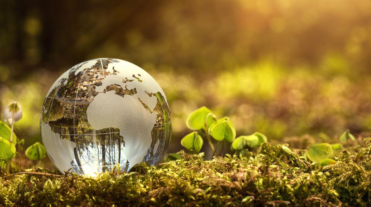 Green is the New Gold: Sustainable Investment Takes Center Stage in Global Markets