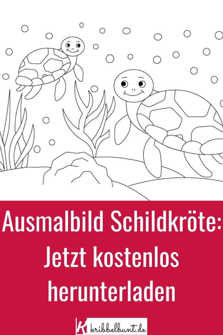 Tauche ein in die Welt der Schildkröten: Malvorlagen, die zum Träumen anregen