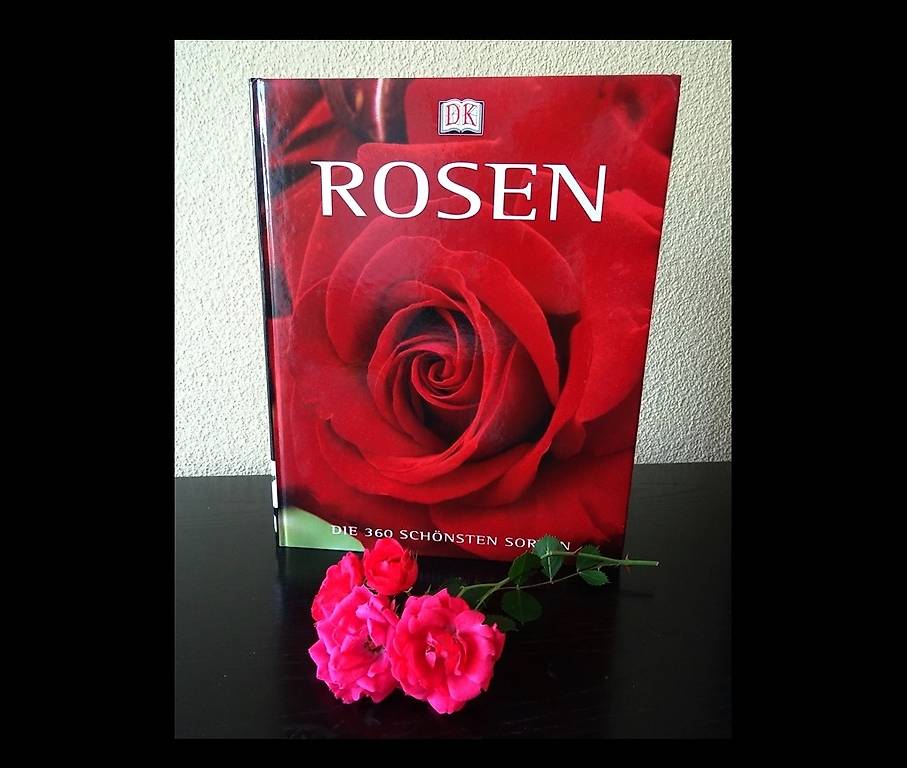 Herzen und Rosen: Eine Reise in die Welt der Kreativität