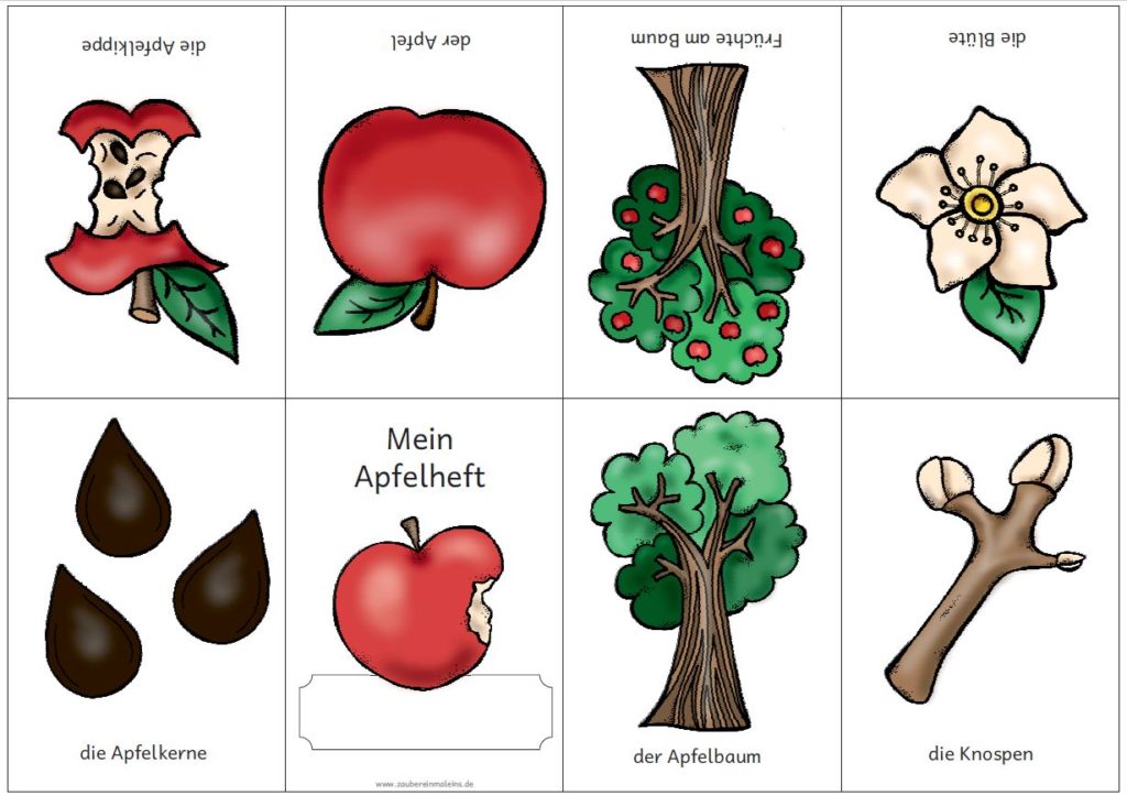 Die Magie des Ausmalens: Ein Apfel als Tor zur Kreativität