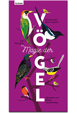 Die Magie der Vogel-Malvorlagen: Ein Zeichenlehrer erzählt